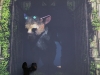 playstation-lastguardian