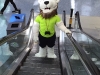 xbox-lion