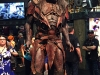 weta1